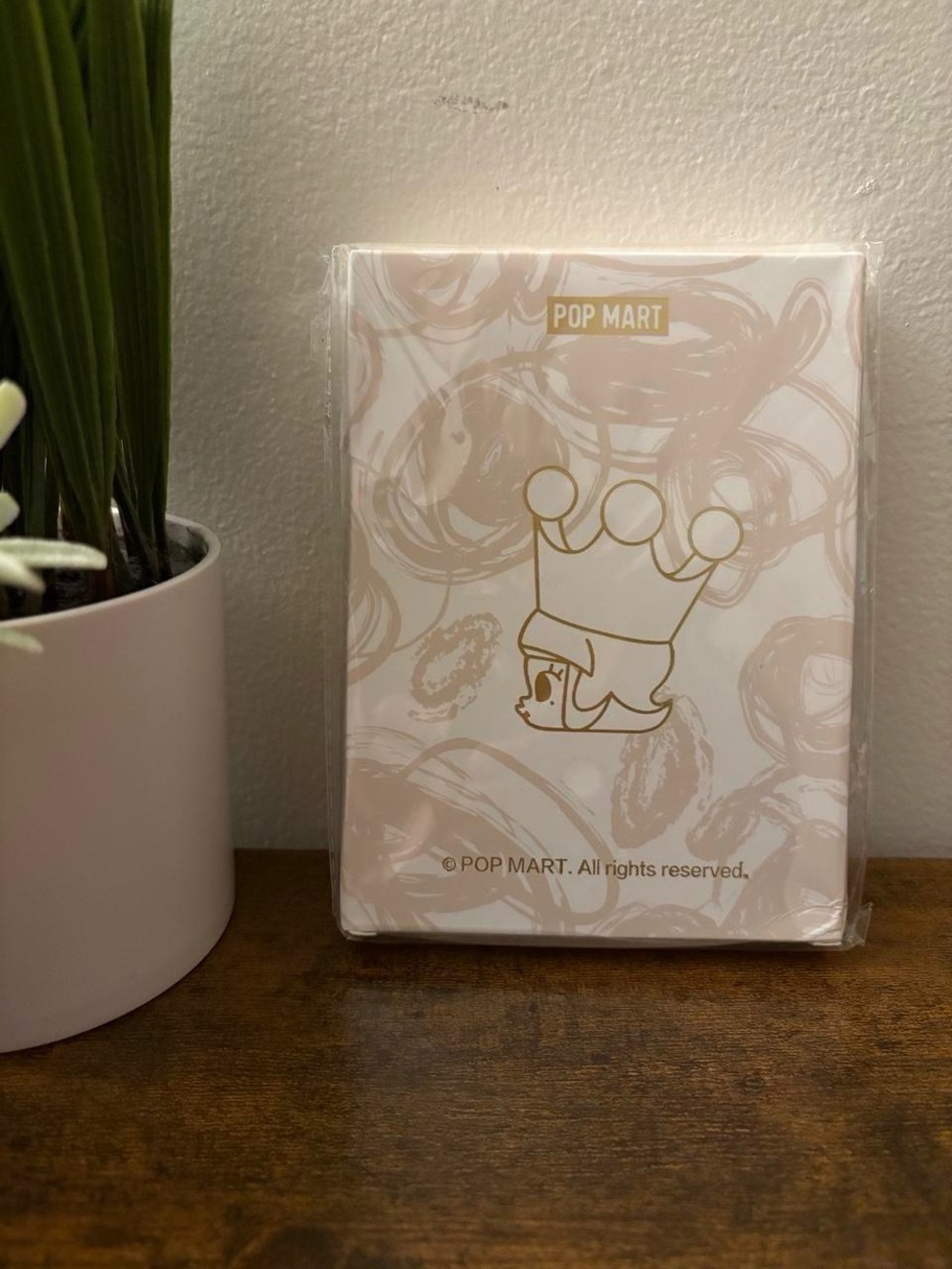 Molly notebook